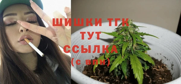 2c-b Бородино