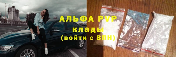 2c-b Бородино