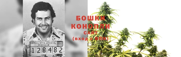 2c-b Бородино
